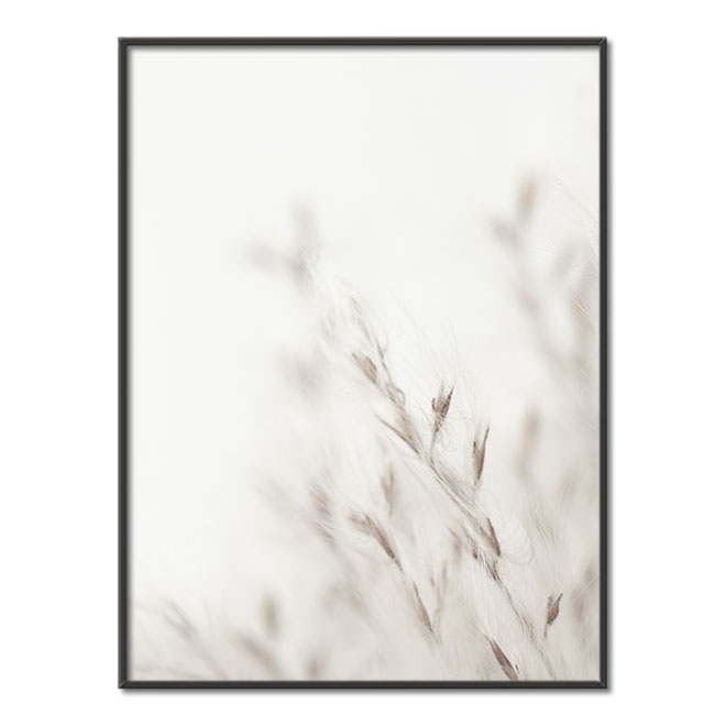 Romantické květiny se semeny Plakát