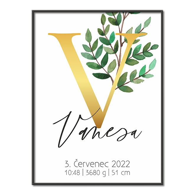 Personalizovatelný plakát Narození miminka - Abeceda "V"