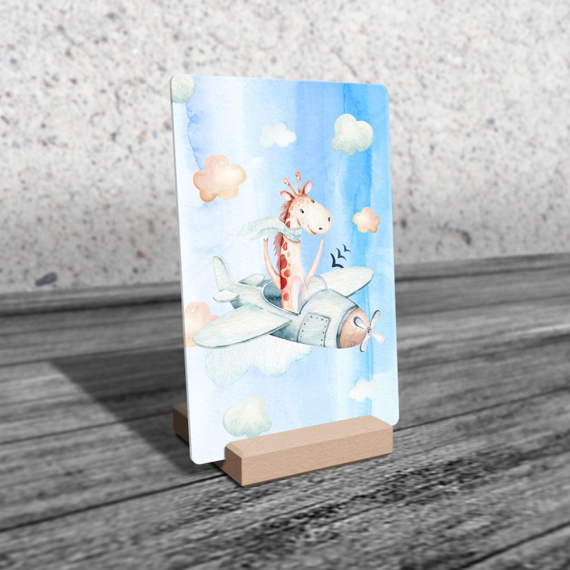 Žirafa a letadélko