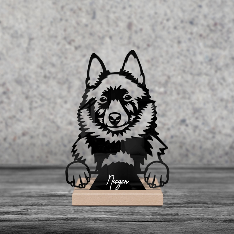 Schipperkes