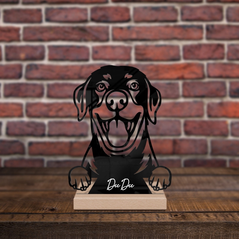 Lab Shepherd Mix