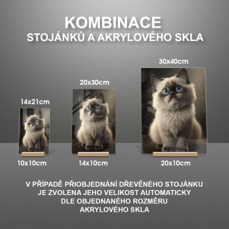 Ragdoll kočka akvarel