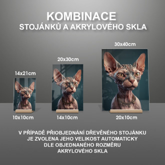 Sphynx kočka akvarel