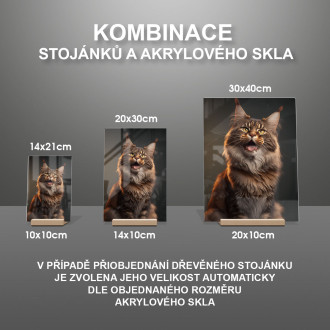 Mainská mývalí kočka akvarel