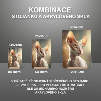 Cornish Rex kočka akvarel