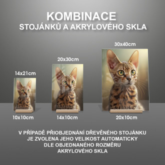 Ocicat kočka akvarel