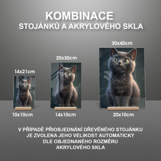 Ruská modrá kočka animovaná