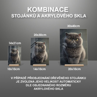 Britská krátkosrstá kočka animovaná