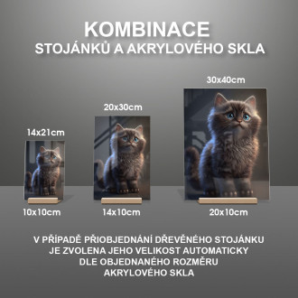 Sibiřská kočka animovaná