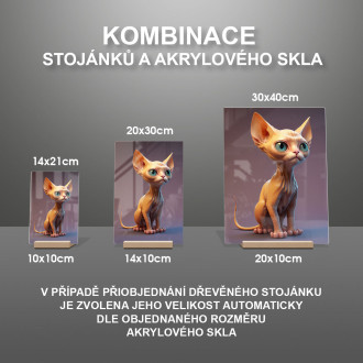 Devon Rex kočka animovaná