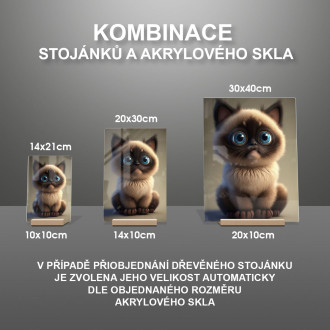 Siamská kočka animovaná