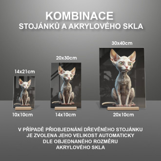 Cornish Rex kočka animovaná