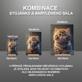 Bengálská kočka animovaná