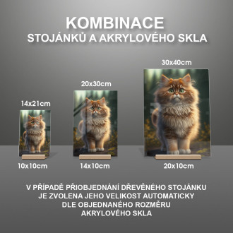 Norská lesní kočka animovaná