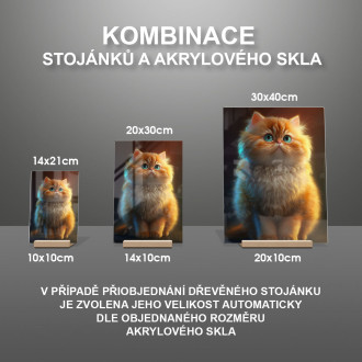 Perská kočka animovaná