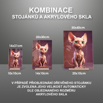 Sphynx kočka animovaná