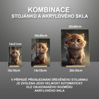 Habešská kočka animovaná