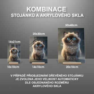 Birma kočka animovaná