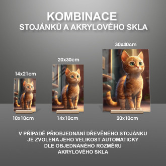 Ocicat kočka animovaná