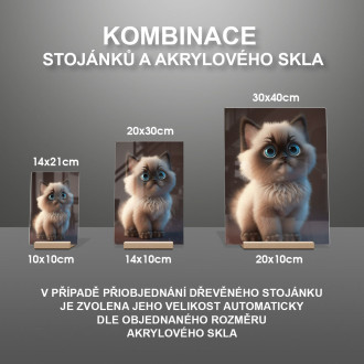 Ragdoll kočka animovaná