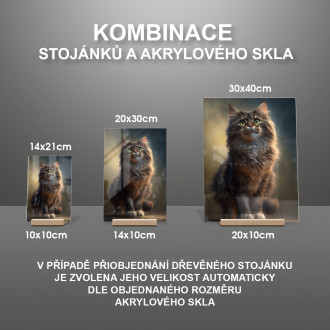 Mainská mývalí kočka animovaná