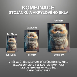 Exotická krátkosrstá kočka animovaná