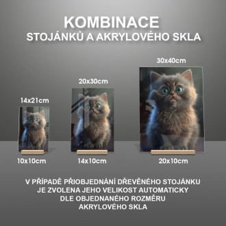 Barmská kočka animovaná