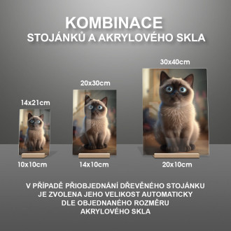 Tonkinská kočka animovaná