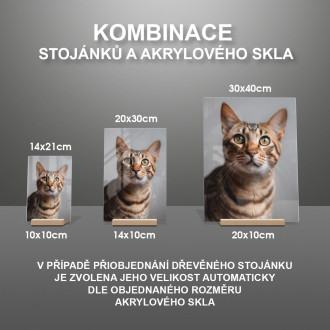 Ocicat kočka realistic