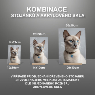 Tonkinská kočka realistic