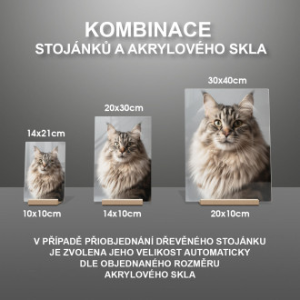 Sibiřská kočka realistic