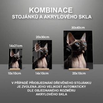 Sphynx kočka realistic