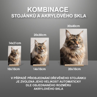 Norská lesní kočka realistic