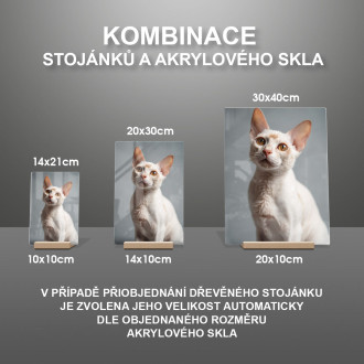 Devon Rex kočka realistic