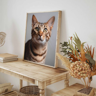 Ocicat kočka realistic