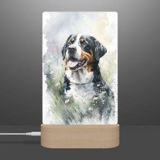 Velký švýcarský salašnický pes akvarel