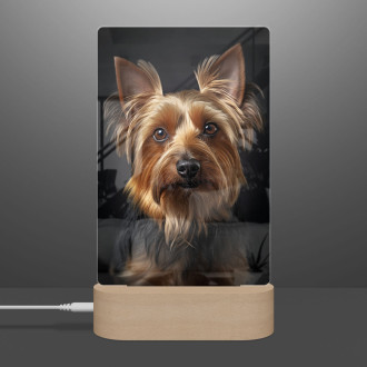 Silky Terrier realistic