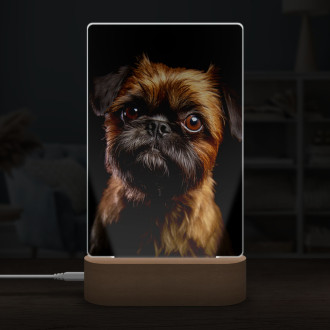 Brussels Griffon realistic