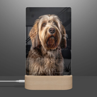 Otterhound realistic