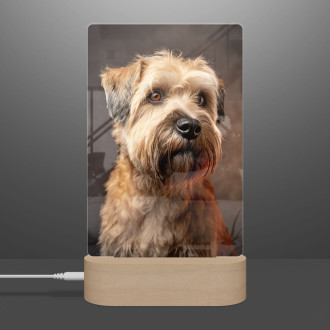 Soft Coated Wheaten Terrier realistic