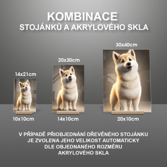 Norský buhund animovaný