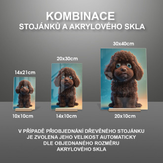 Irský vodní španěl animovaný