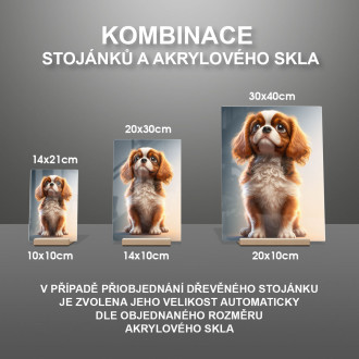 Kavalír King Charles španěl animovaný