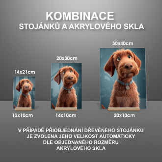 Wirehaired Vizsla animovaný