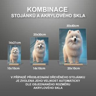 Samojed animovaný