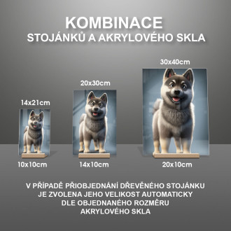 Norský elkhound animovaný