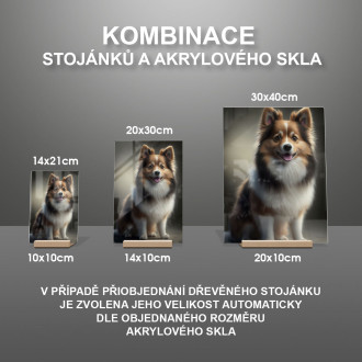 Islandský ovčák animovaný