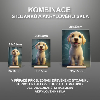 Labradorský retrívr animovaný