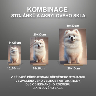 Americký eskymácký pes animovaný