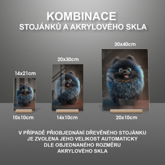 Keeshonden animovaný